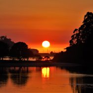 118948863_3169464626485674_5847548016196892271_o