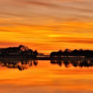 119038400_3169464756485661_3974656370805450944_o