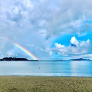 38BC9AA3-11BB-428E-8014-560121B94904