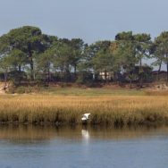 Panoramica8863pB (2)