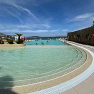 c450a167-d7b8-4266-9c23-61abe2af1b37