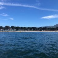 c9554ce2-4b71-4d46-82cf-57fa239feff8