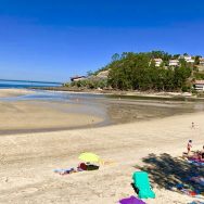 fa94001c-fbc4-4a42-af82-4aa2db4b31cd (2)